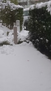 大雪　東京　神奈川
